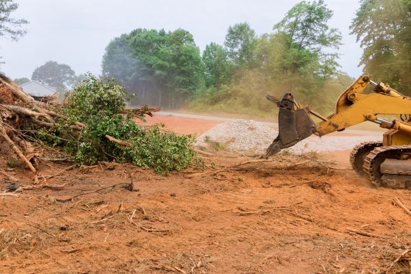 Ground Clearing in Orange