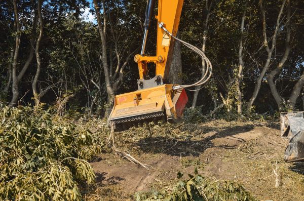 Brush Removal Service in Orange