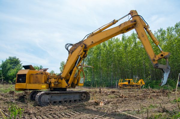 Farm Clearing in Orange