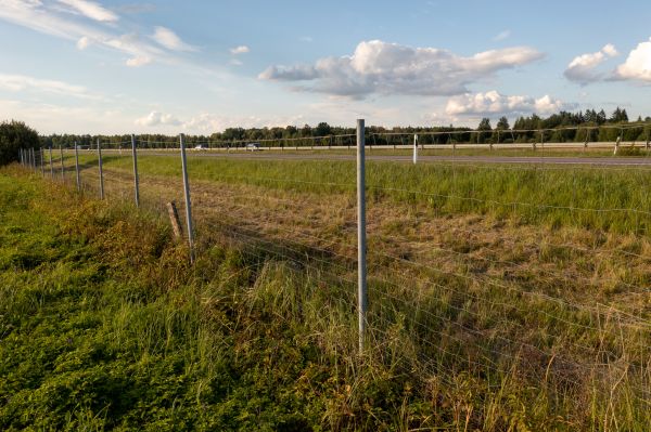 Property Line Clearing in Orange
