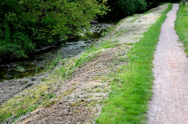 Trail Cutting in Orange