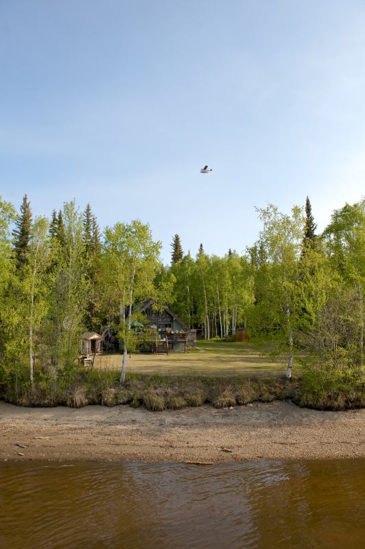 Frozen Ground for Easier Clearing